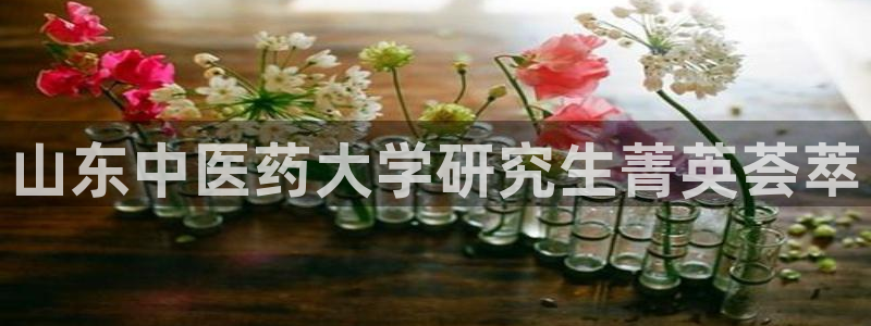 九游会口碑怎么样